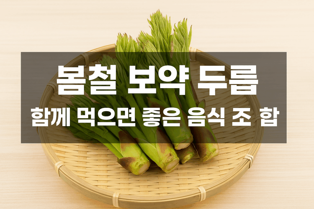 두릅 음식조합